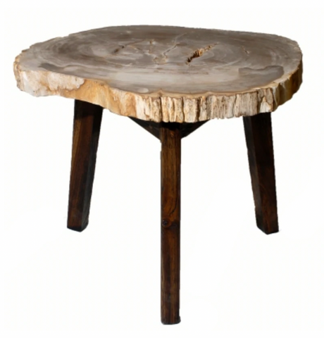 23x18 Natural Petrified Wood End Table